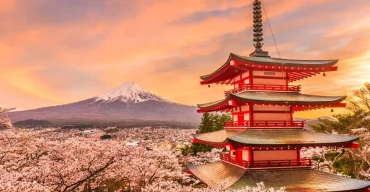 Mount Fuji Full Day Sightseeing Private Tour - Key Points