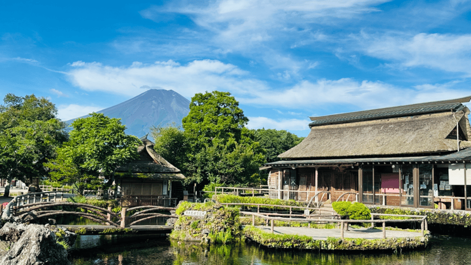 Mount Fuji Full Day Sightseeing Private Tour - Tour Overview