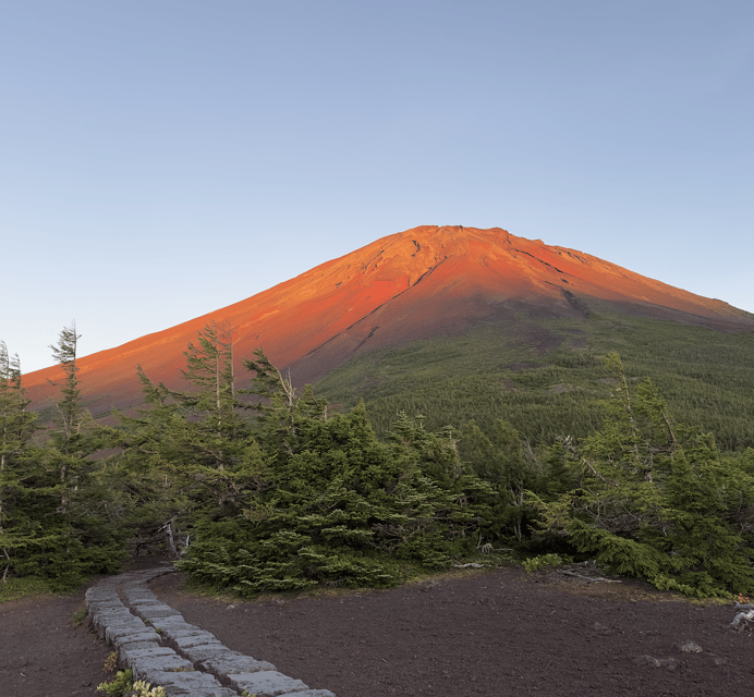 Mount Fuji Tour From Tokyo With English Speaking Guide - Transportation and Services