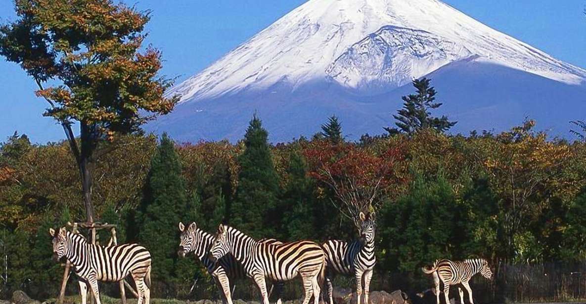 Mt Fuji : Highlight Tour and Unforgettable Experience - Key Points