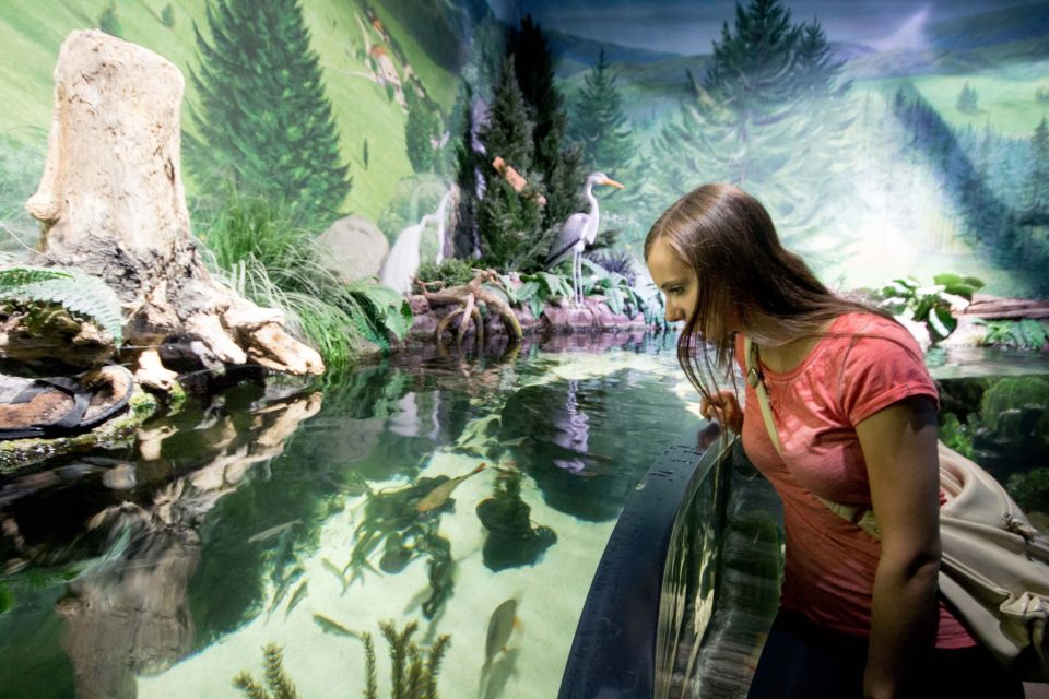 Munich: Day Ticket to Sea Life - Key Points