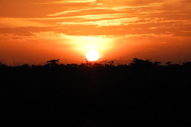 Nairobi National Park Drive (Small Group Tour) - Key Points