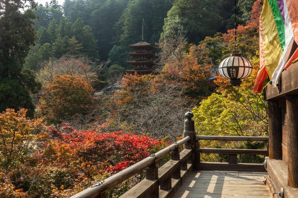 Nara Day Tour From Osaka - Key Points