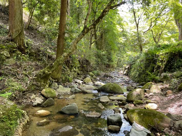 Nara: Discover Countryside Tour Review - Key Points