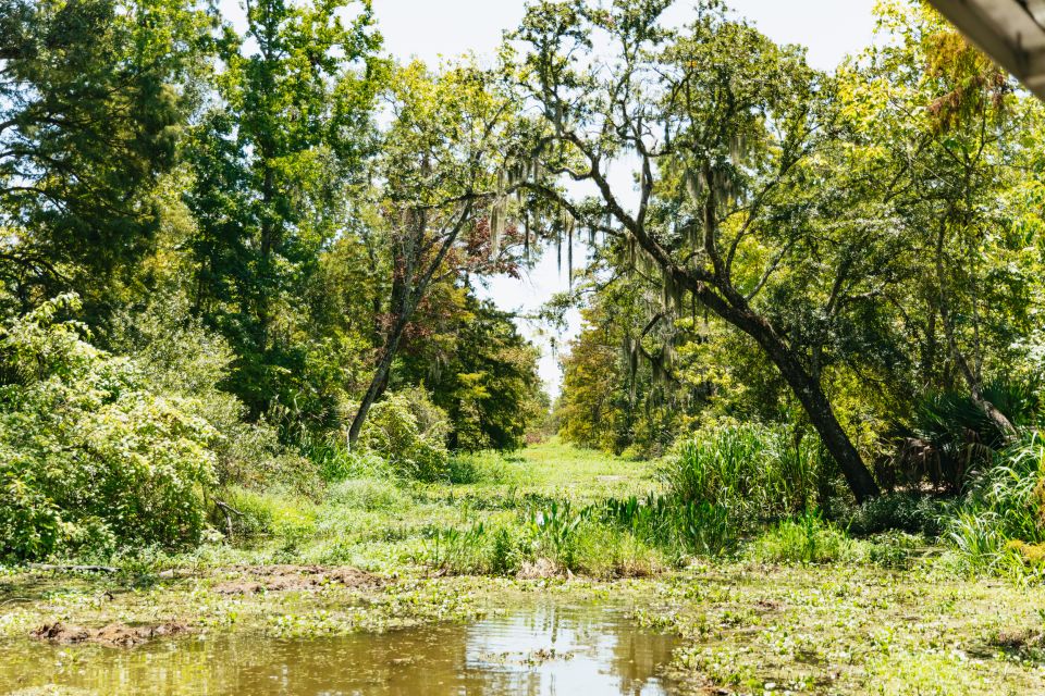 New Orleans: Bayou Tour in Jean Lafitte National Park - Key Points