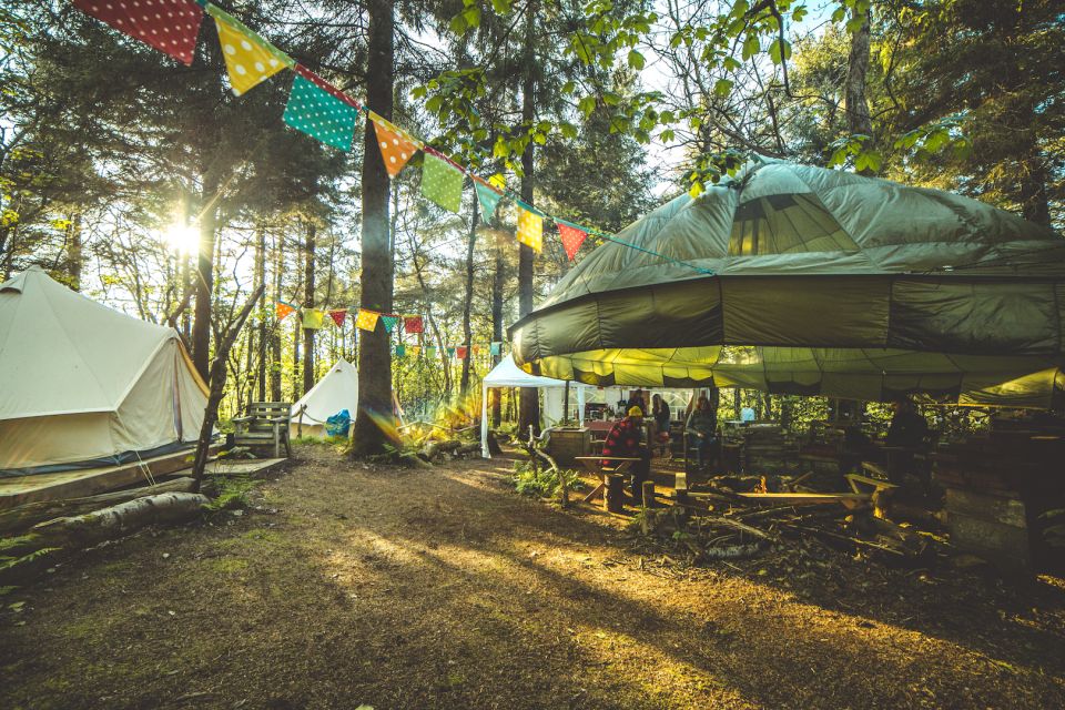 Newquay: Surf, Yoga & Woodland Wild Camp - Key Points