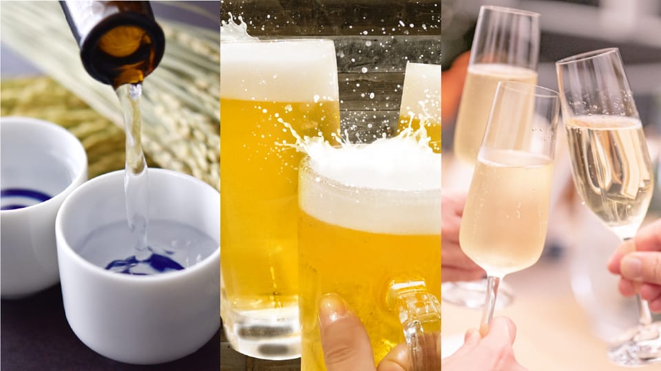 Niigata Sake and Geisha Experience Review - Experience Overview