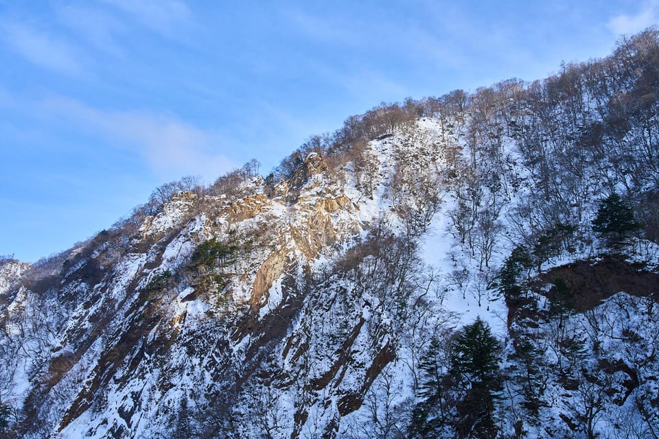 Nikko Private Day Trip: Explore Japans World Heritage - Key Points