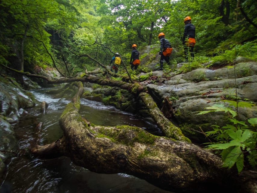 Nikko: Standard Half-Day Canyoning Course - Key Points