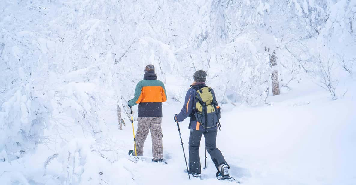 Noboribetsu: Orofure Pass Snowshoeing Tour Review - Key Points