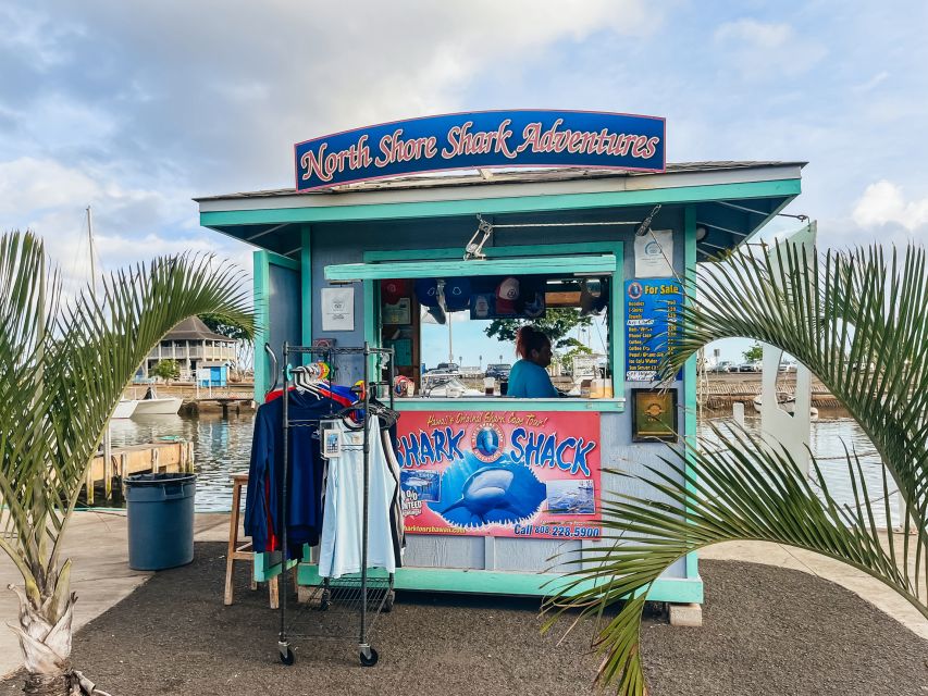 Oahu: Shark Cage Dive on the North Shore - Key Points