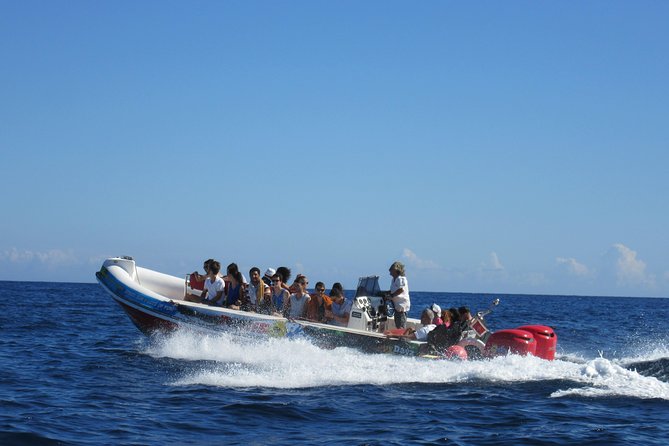 Okikoki Banis - Comino Blue Lagoon Speedboat Trip- Fast Ferry - Key Points