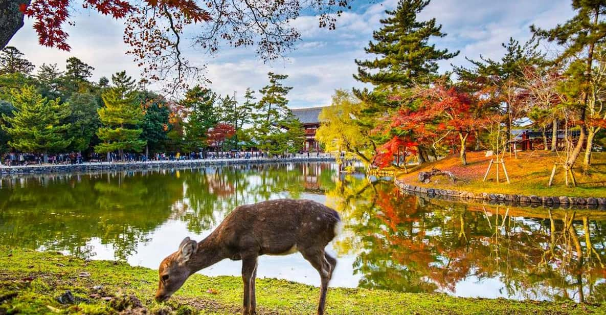 One Day Private Customized Self-Guided Tour in Nara - Key Points