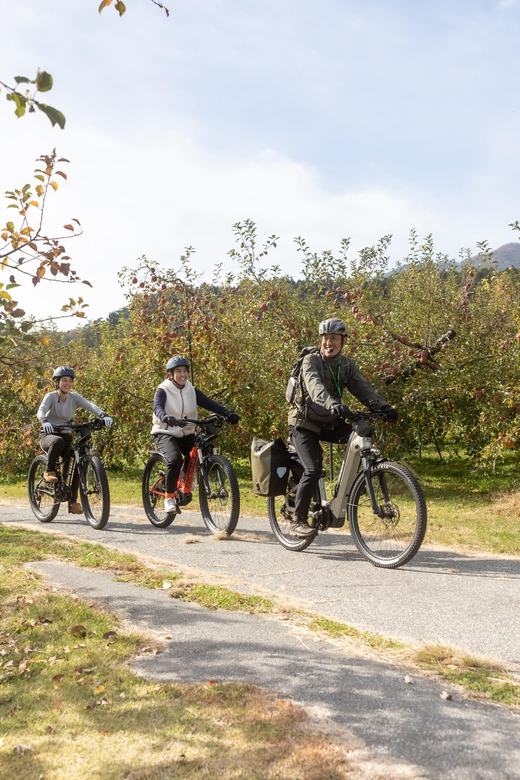 Orchard Cycling Tour Review: Experience the Alps - Key Points