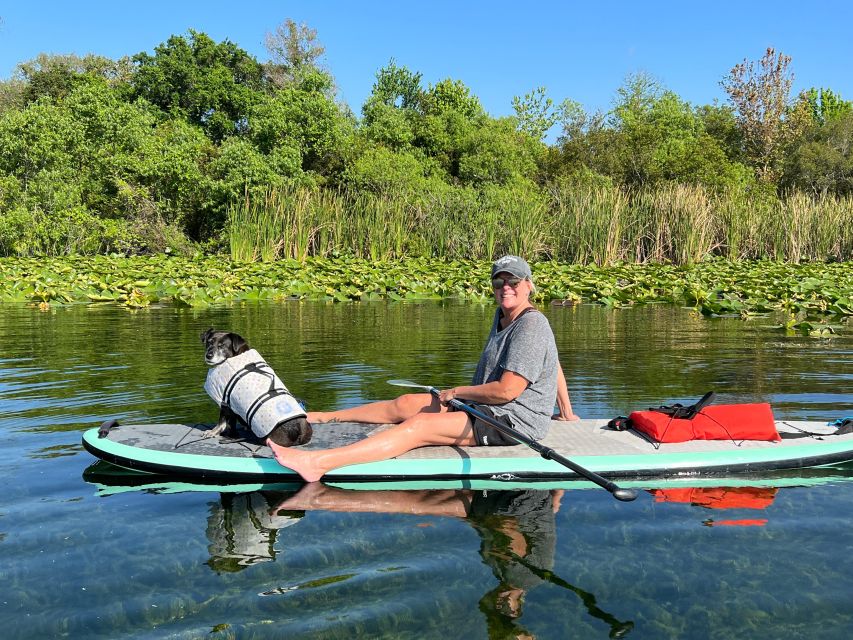 Orlando: Paddle With Pups in Paradise - Paddleboard or Kayak - Key Points