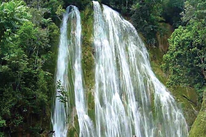 Parada Maria Y Miguel and the Limón Waterfall Tour From Samana - Key Points