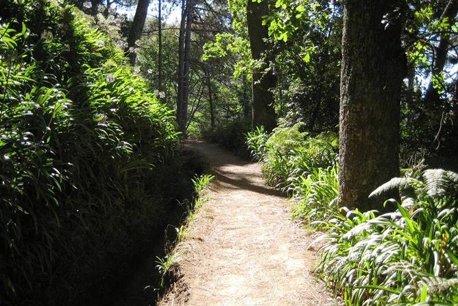 Paradise Valley - Levada Walk - Key Points