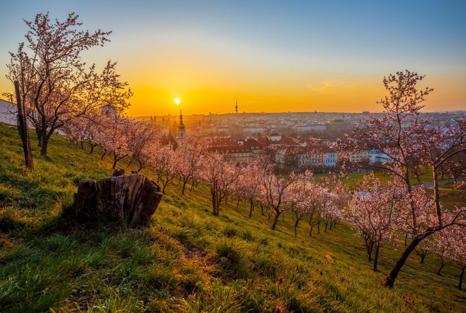 Prague: Skip-the-Line Petrin Tower Tour via Petrin Funicular - Key Points