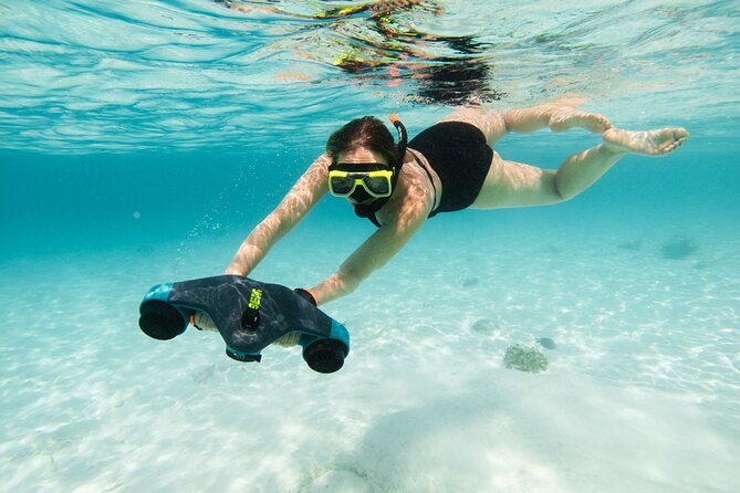 Private Half Day REVOLVE Boat Tour in Bonaire - Overview of the Tour