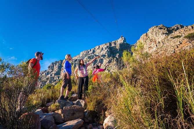 Private Hiking Tour of Table Mountain - Key Points