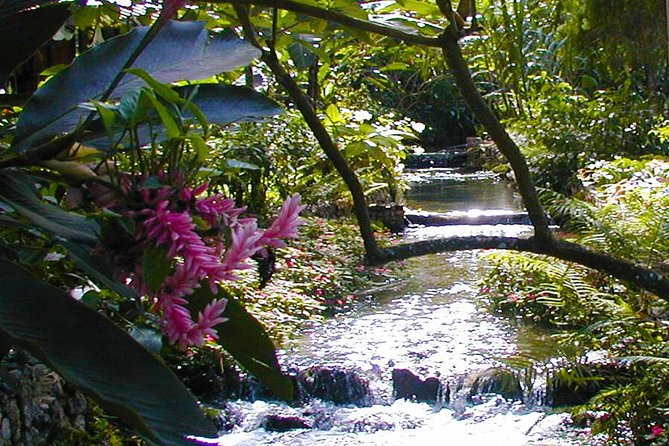 Private Tour From Ocho Rios To Blue Hole & Konoko Falls - Activities at Konoko Falls