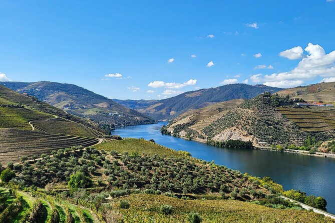 Private Tour Through the Douro Valley (Wineries + Boat) - Key Points