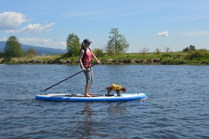 Puerto Plata Cabarete Inflatable Paddle Board/ Kayak Rental - Key Points