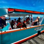 Punta Cana Whale Watching+ Limon + Cayo Levantado W/ Transport Key Points