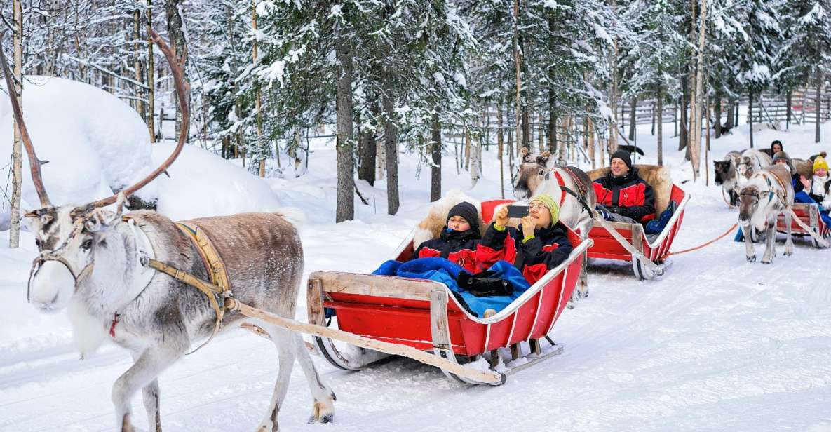 Rovaniemi: Reindeer Sleigh Ride With Hot Drink and Cookies - Key Points