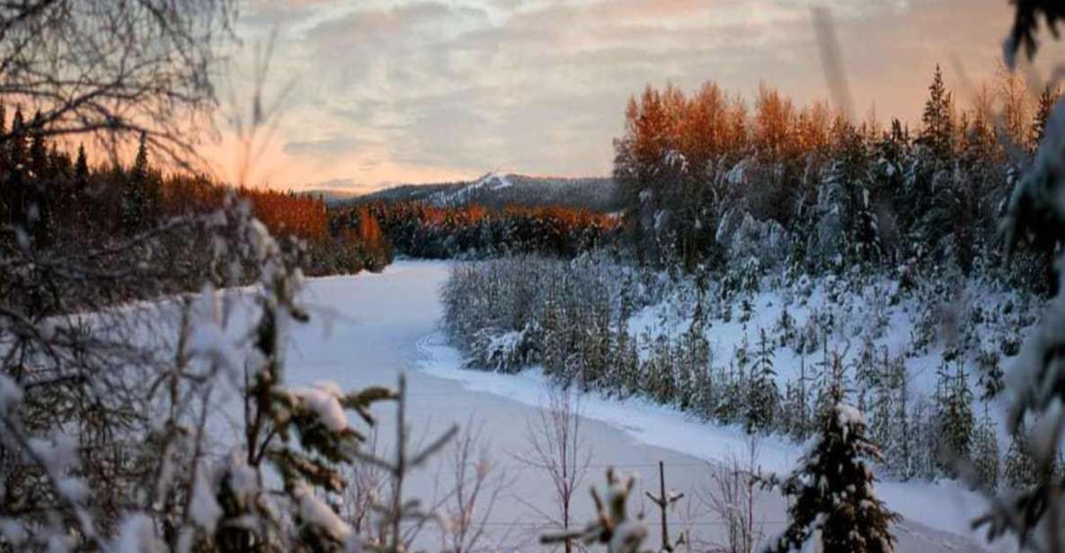 Rovaniemi: Winter Wonderland Vikaköngas Hike & Barbecue - Key Points