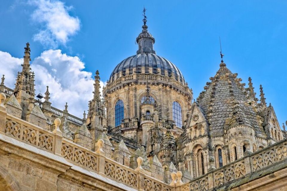 Salamanca: Private Walking Tour With a Local Guide - Key Points