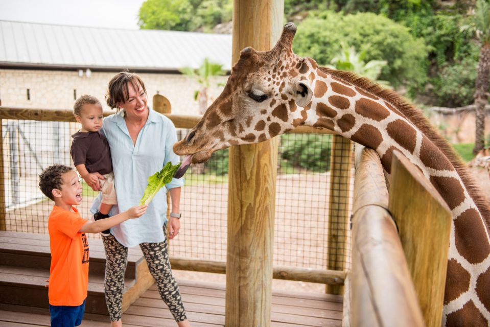 San Antonio: San Antonio Zoo Any Day Ticket - Key Points