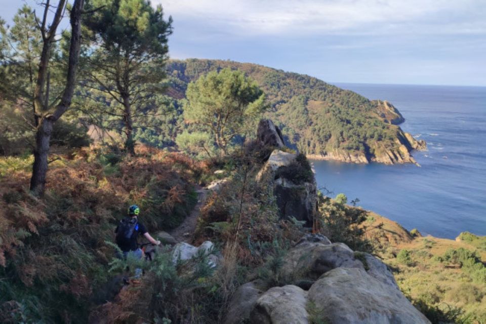 San Sebastian: Mountain Bike Tour With Pintxos and Drink - Key Points