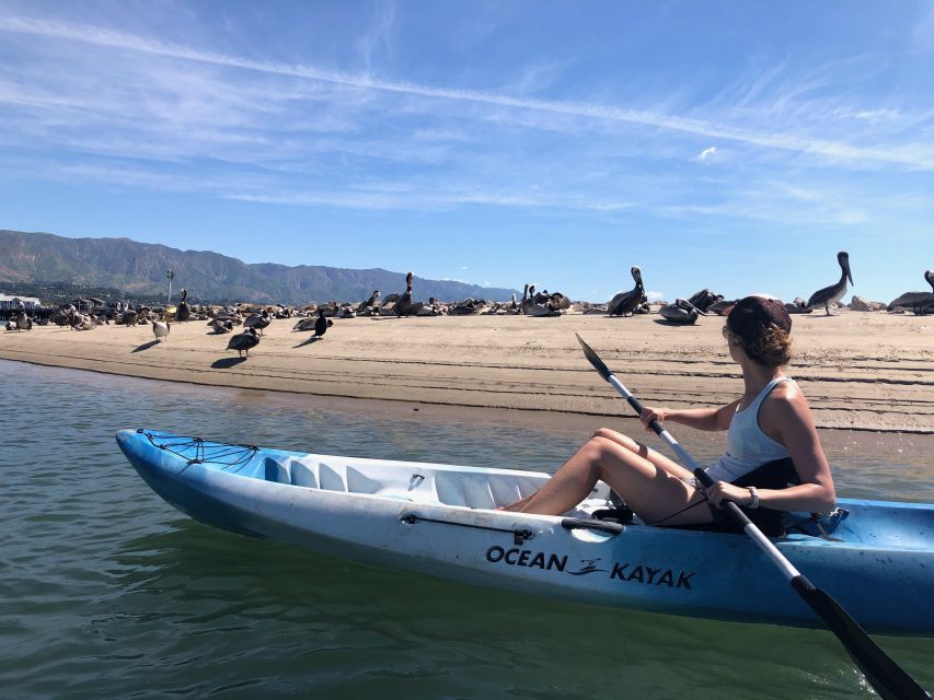 Santa Barbara: 1.5-Hour Harbor Kayak Tour - Tour Overview and Details