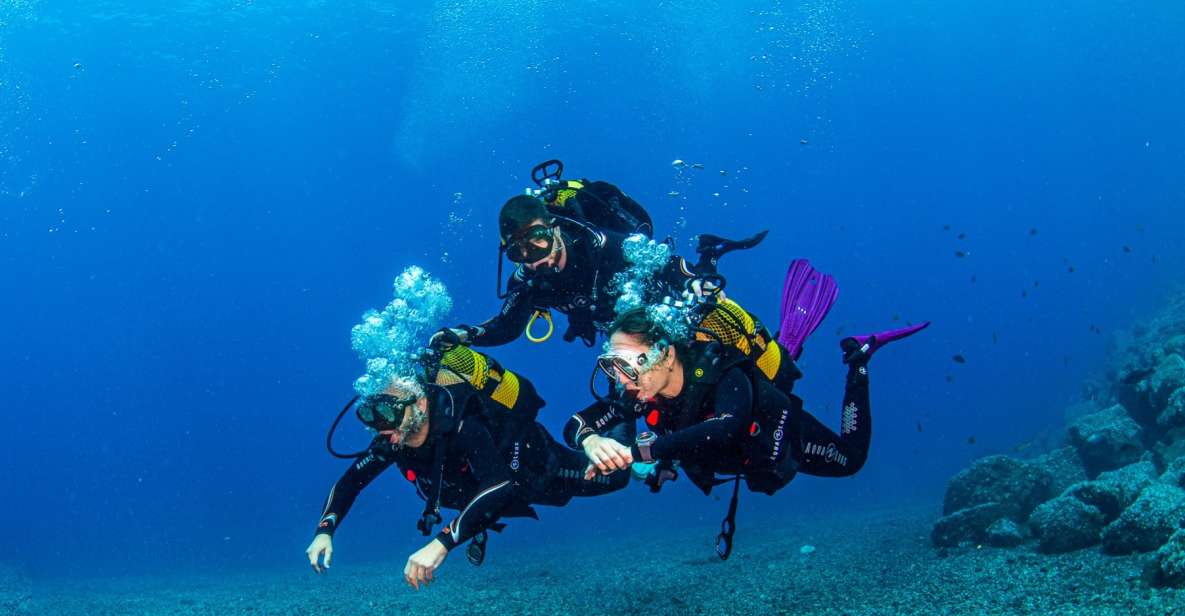 Santa Cruz De Tenerife: Introductory Diving Course & 2 Dives - Key Points