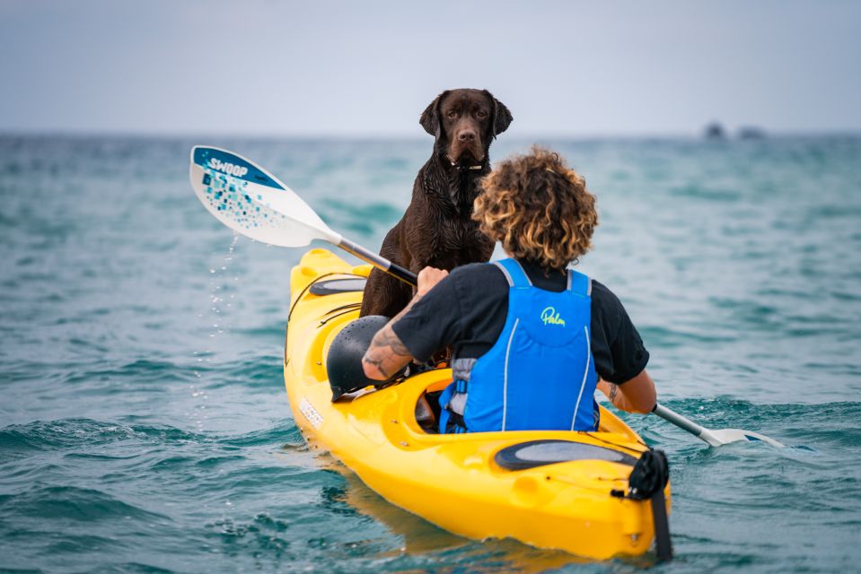 Santorini: Sea Caves Kayak Trip With Snorkeling and Picnic - Key Points