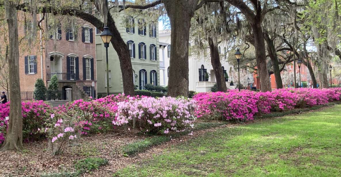 Savannah: Highlights Off the Beaten Path Guided Walking Tour - Key Points