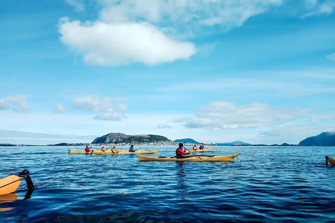 Sea Kayaking In Ålesund - Key Points