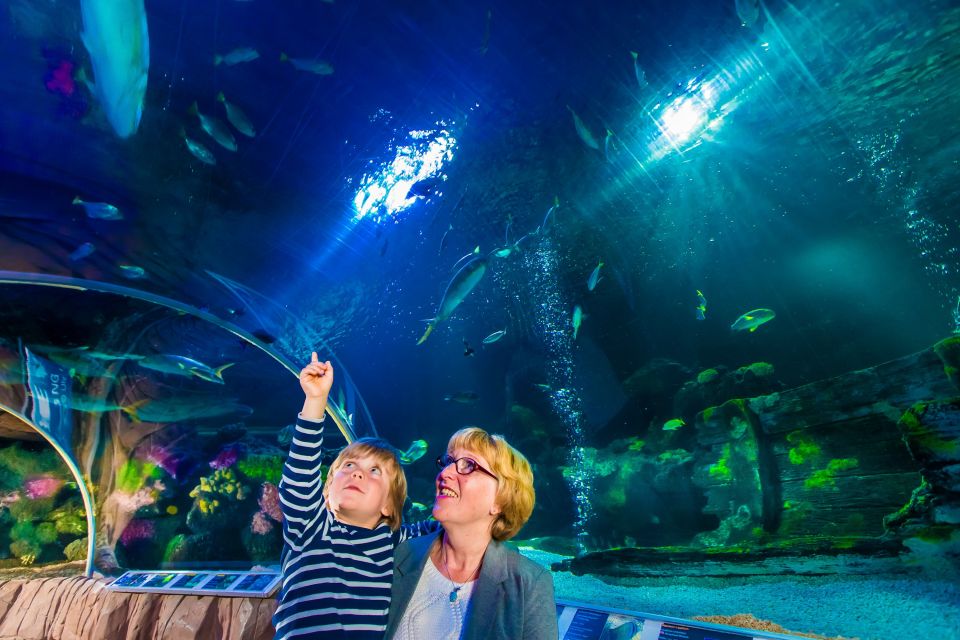 SEA LIFE Berlin Tickets - Key Points