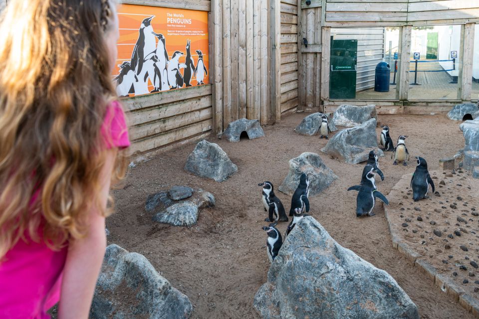 Sea Life Hunstanton - Key Points