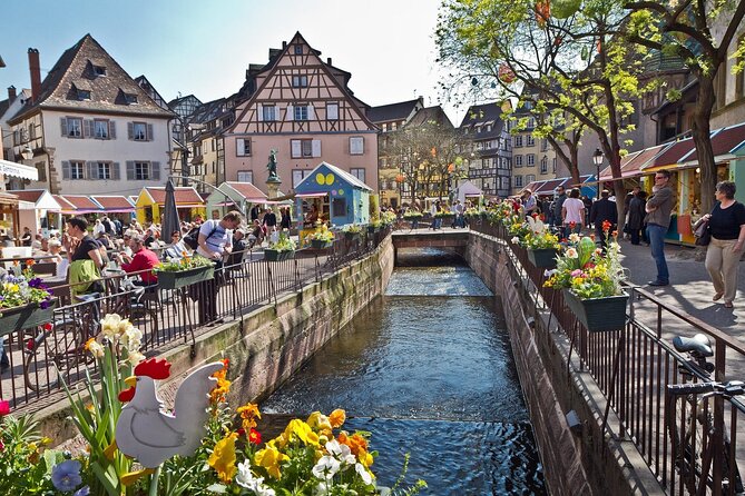 Segway Tours 2h in Colmar - Key Points