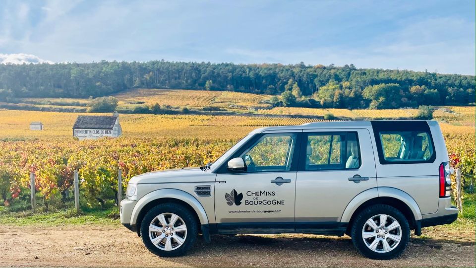 Small Group Full Day Tour in the Burgundy Vineyards - Tour Overview