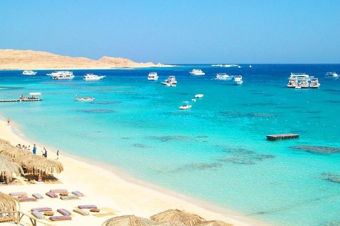 Snorkeling Day Trip in Hurghada - Key Points