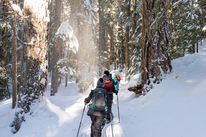 Snowshoe Tours - Key Points