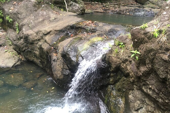 Soufriere Volcano Experience - Tour Highlights