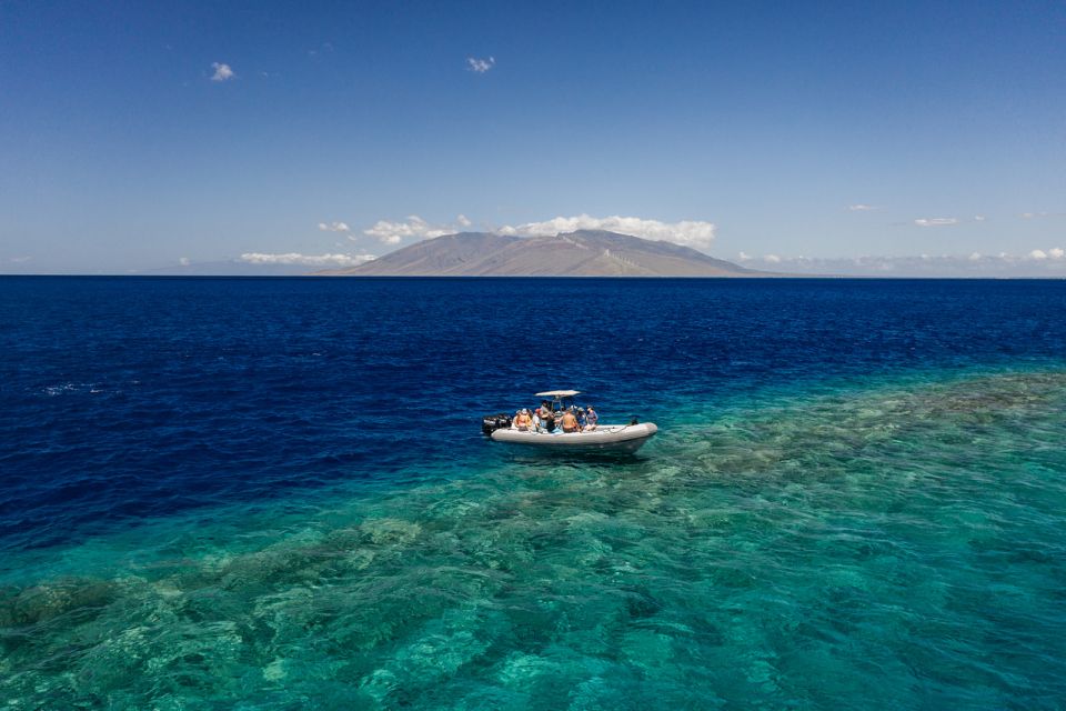 South Maui: Molokini Volcanic Crater Snorkeling Cruise - Key Points