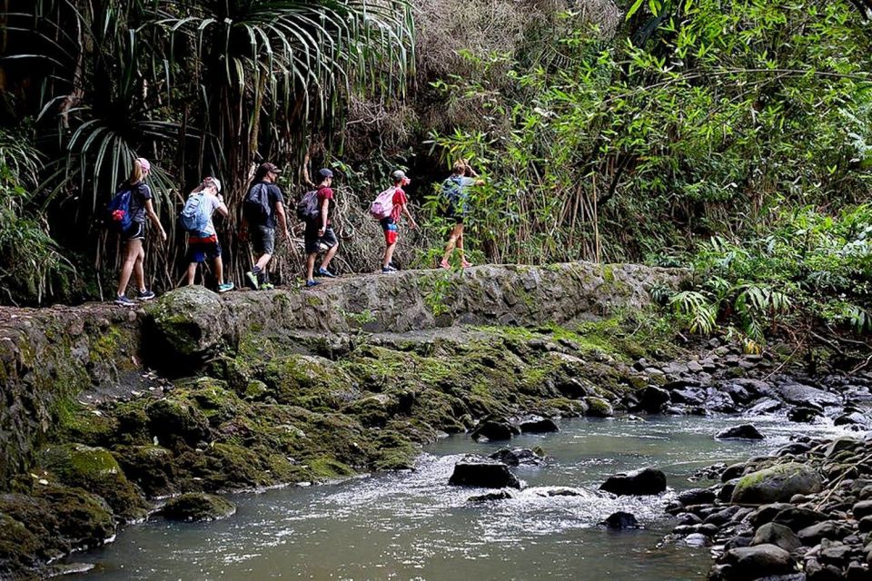 South Maui: Waterfall Tour W/ Kayak, Snorkel, and Hike - Key Points