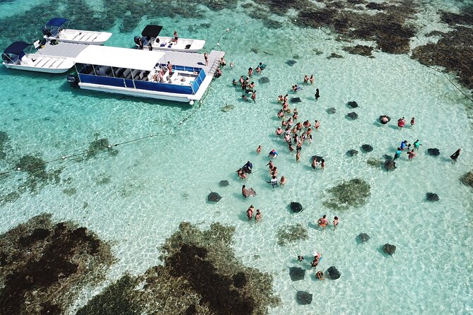 Stingray City Experience Antigua - ONLY TICKET - Key Points