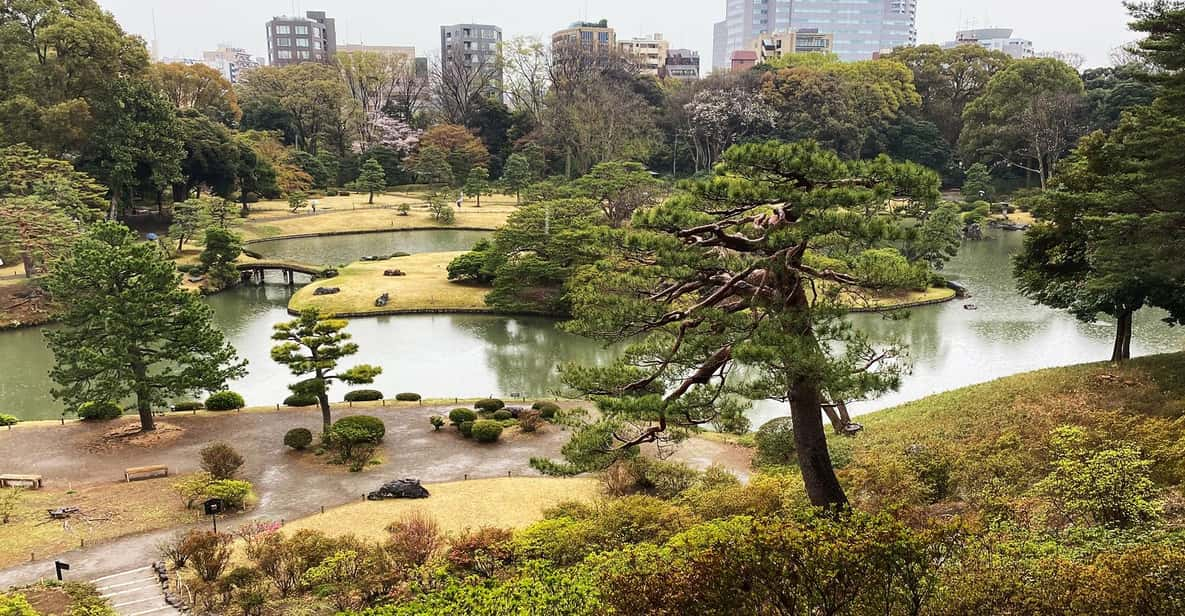 Sugamo Adventure: Enchanting Picnic at Rikugien Garden! - Key Points