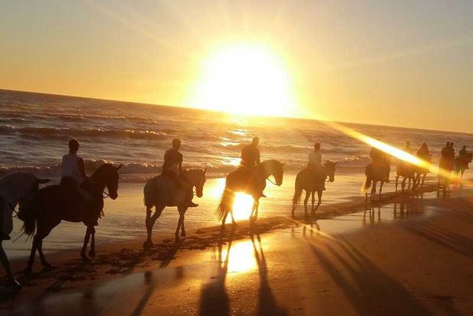 Sunset Horseback Riding Tour From Punta Cana - Overview of the Tour